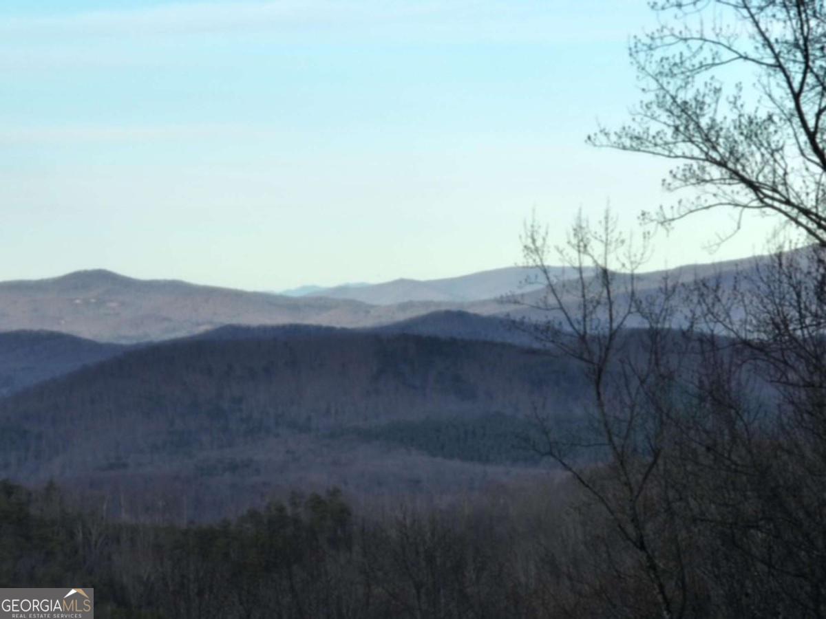 279 Andes Ridge Talking Rock, GA 30175 - Photo 14 of 37