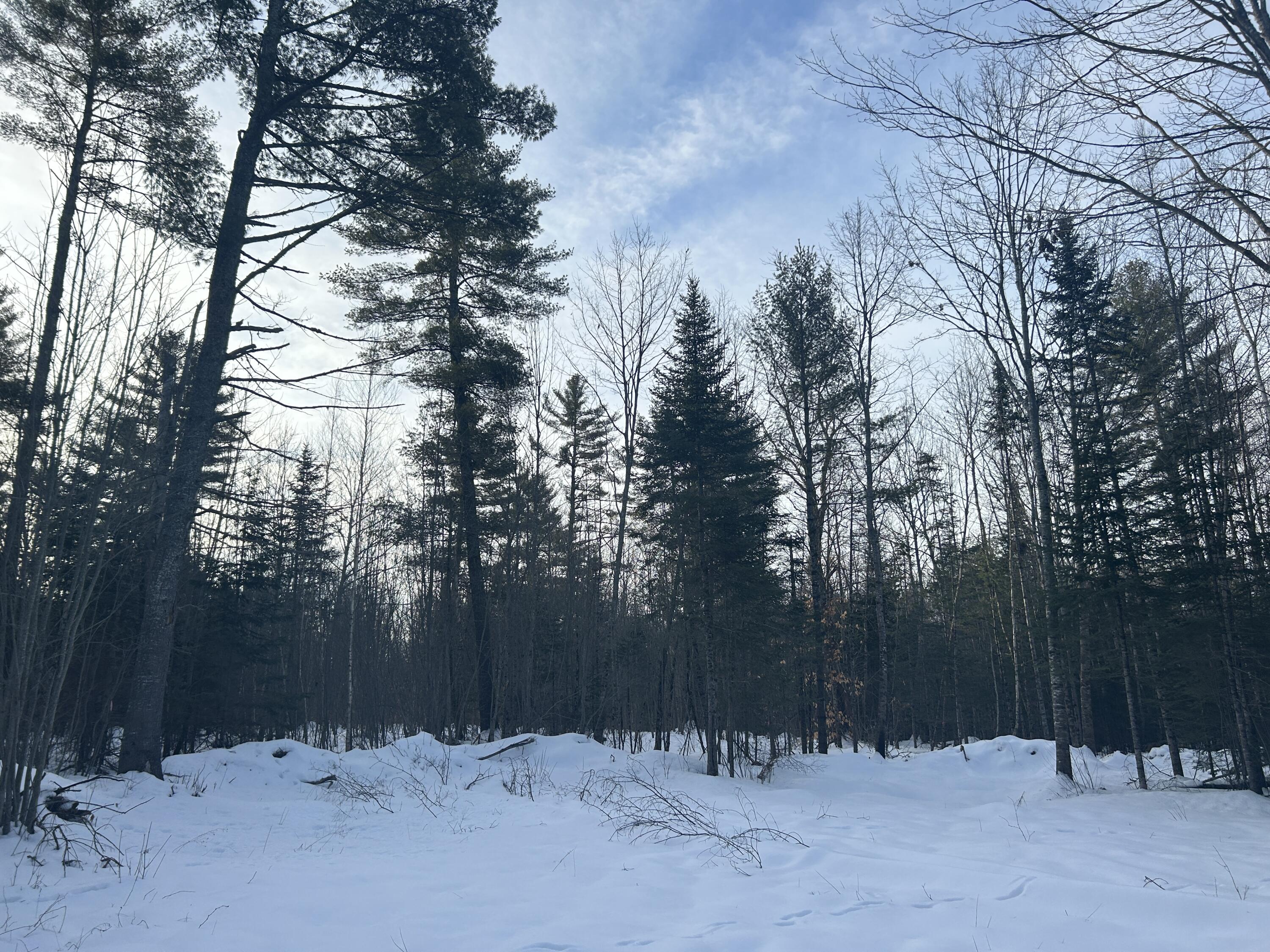 Lot 1 South Colby Road Somerville, ME 04348 - Photo 6 of 10 IMG_0487