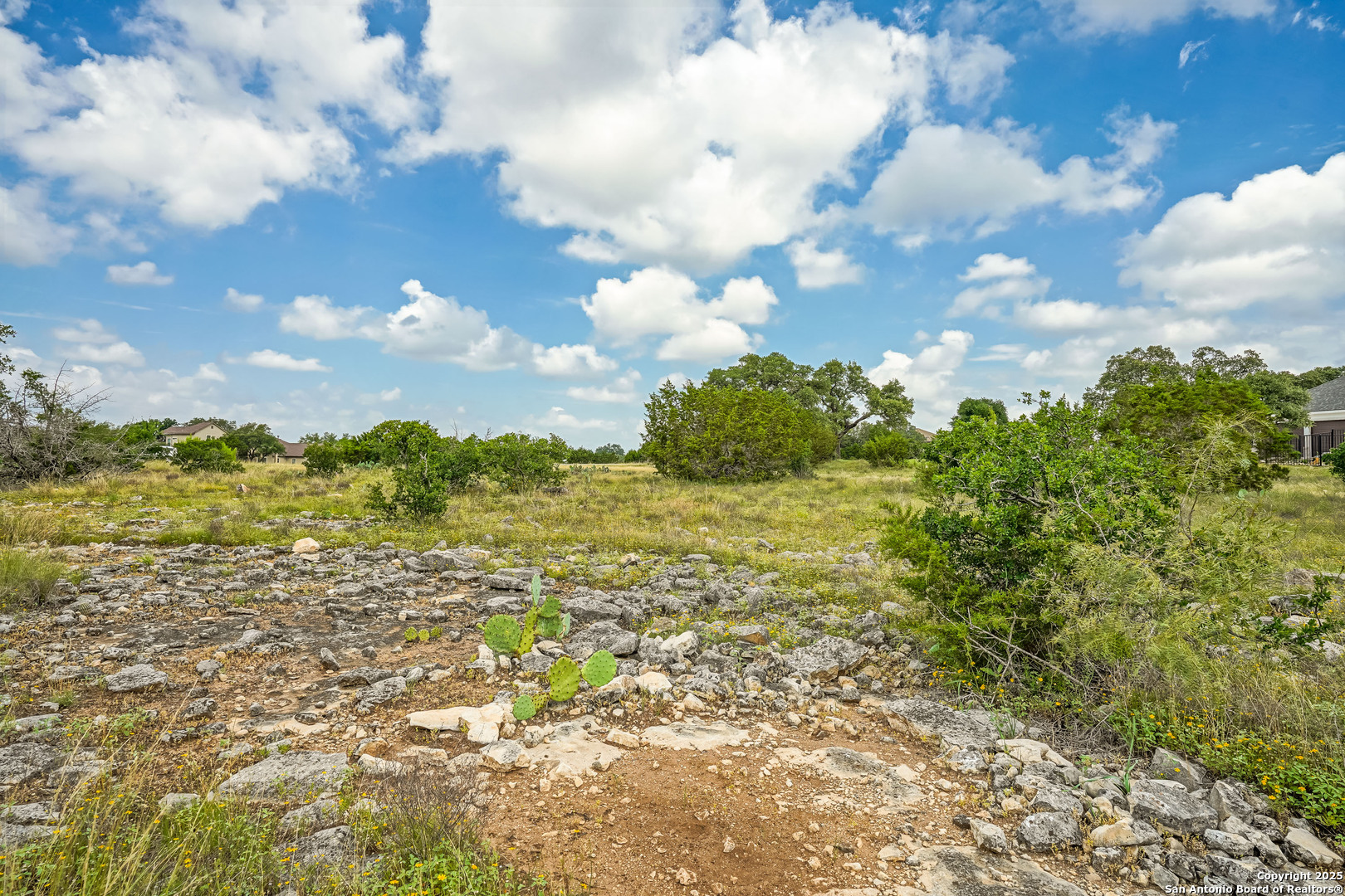 473 Mystic Parkway Spring Branch, TX 78070 - Photo 14 of 23 a view of a lake and mountain
