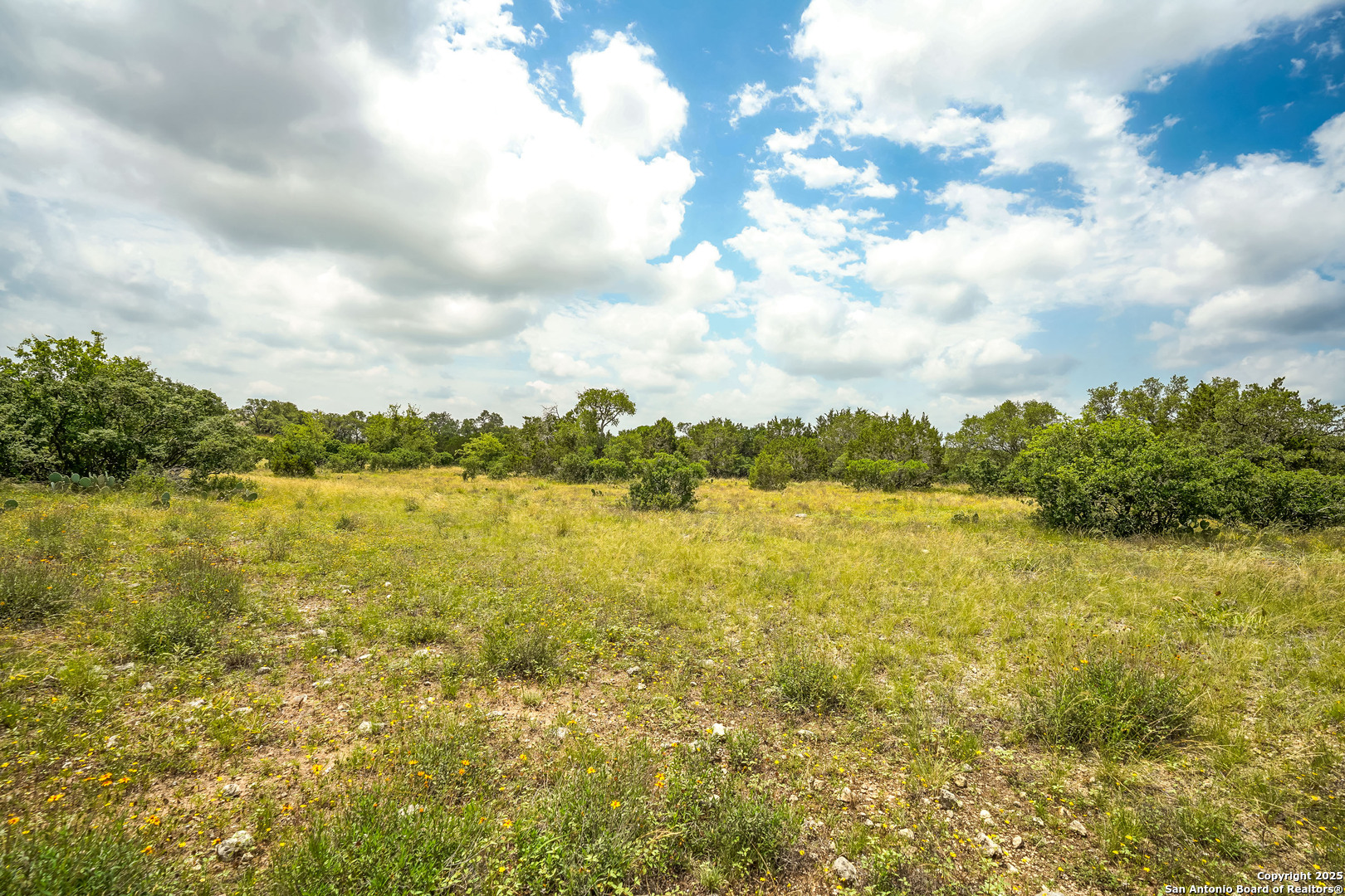 473 Mystic Parkway Spring Branch, TX 78070 - Photo 17 of 23 a view of a lake view