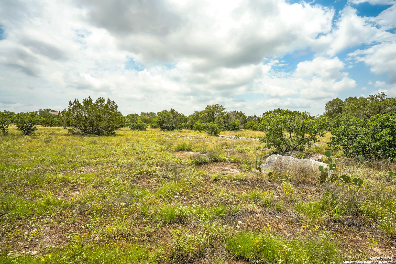 473 Mystic Parkway Spring Branch, TX 78070 - Photo 18 of 23 a view of a lake with houses in the back