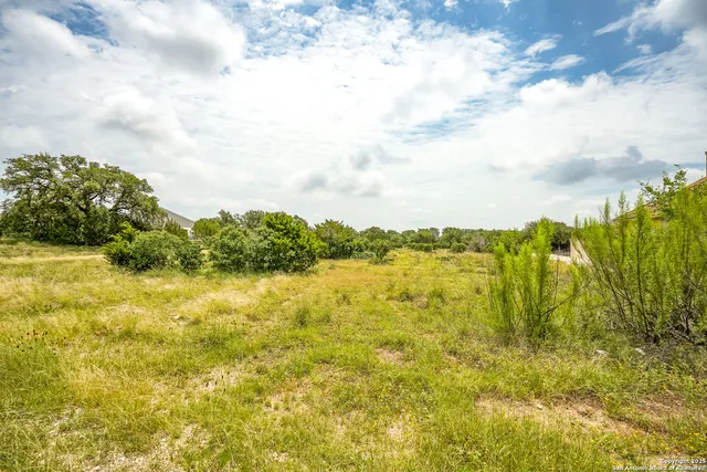 a view of a yard with an ocean beach
