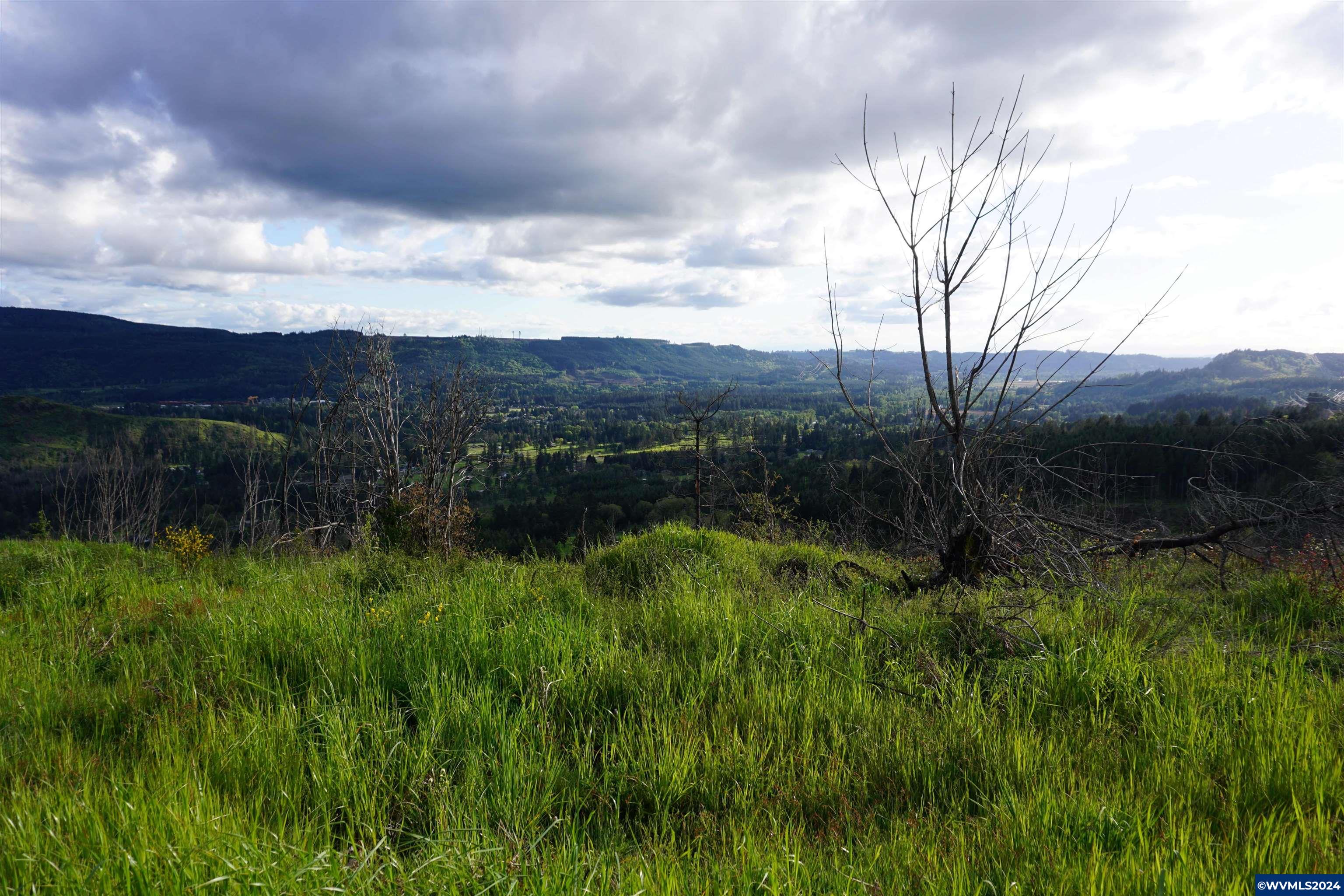 900 Wagner Road Lyons, OR 97358 - Photo 10 of 30