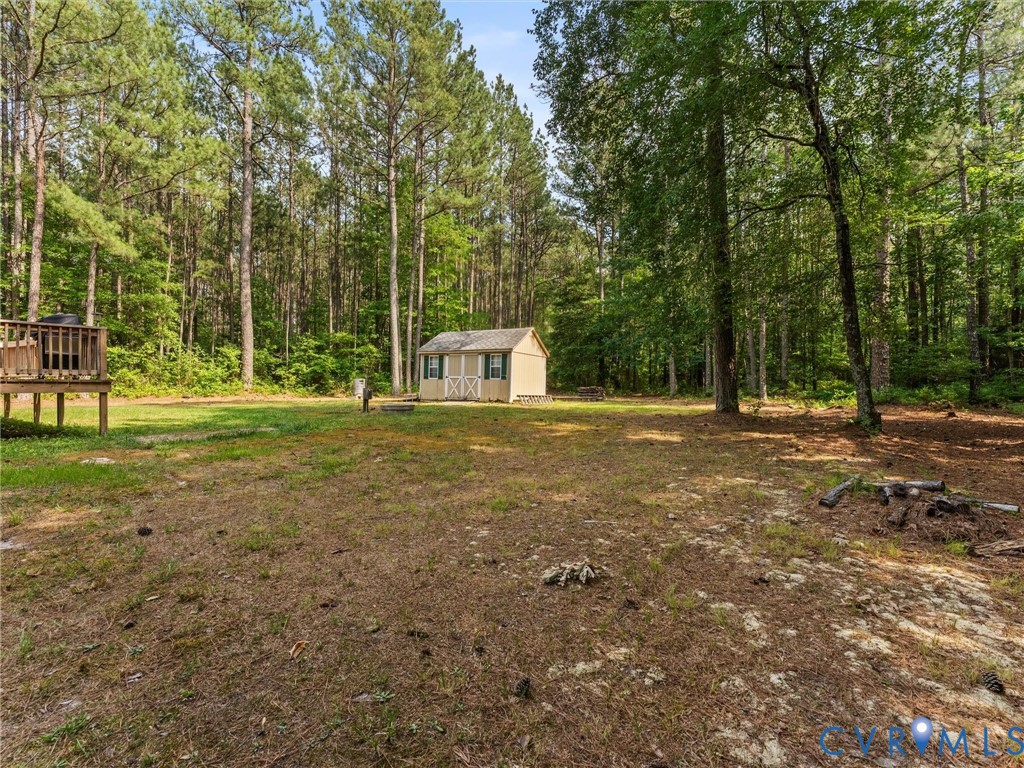 14175 Lebanon Road Disputanta, VA 23842 - Photo 45 of 60 Expansive wooded property featuring a detached sto