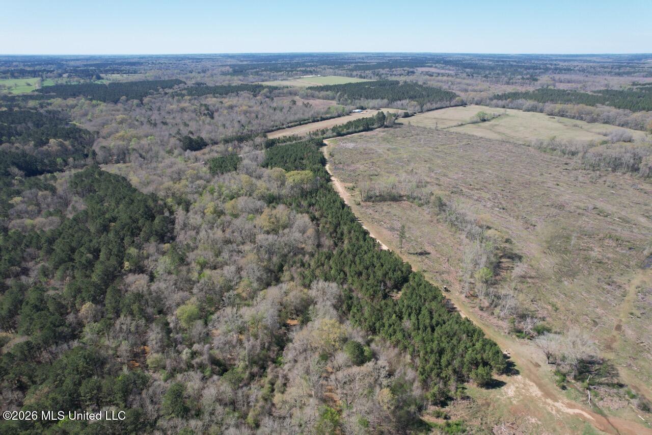 1009 Chance Road Centreville, MS 39631 - Photo 17 of 48 DJI_0440 Large