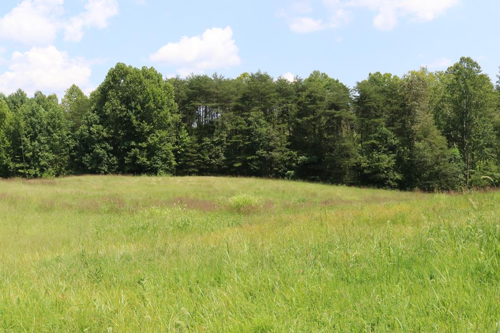 424-426 Cook Johnson Road Prospect, VA 23960 - Photo 30 of 37 Gallery Image 30