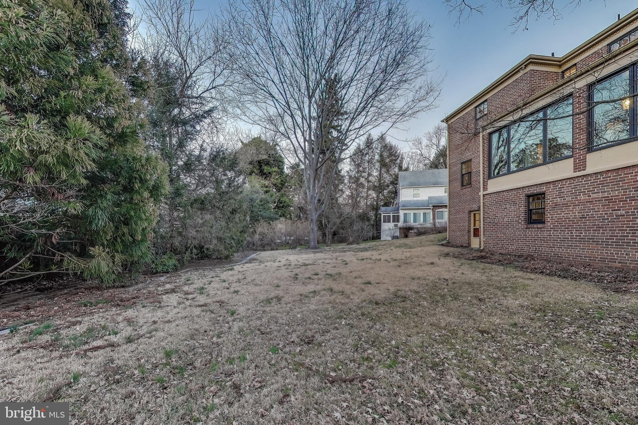 9214 Kingsbury Drive Silver Spring, MD 20910 - Photo 62 of 67 a view of a yard with a tree