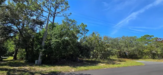 a view of a yard with a tree