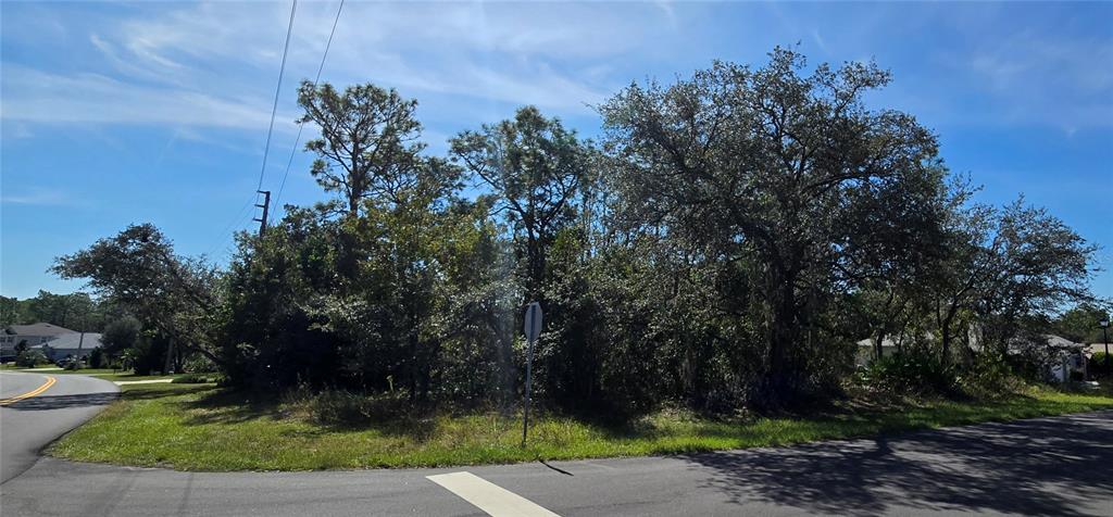 1 Buckeye Court Homosassa, FL 34446 - Photo 4 of 5 a view of a yard with plants and trees in front of it