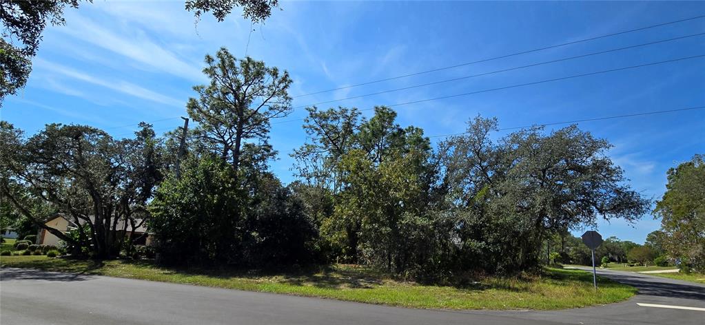 1 Buckeye Court Homosassa, FL 34446 - Photo 5 of 5 a view of a yard