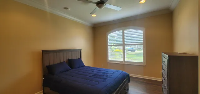 a view of a house with a yard and plants