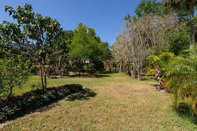 a view of outdoor space with garden and trees