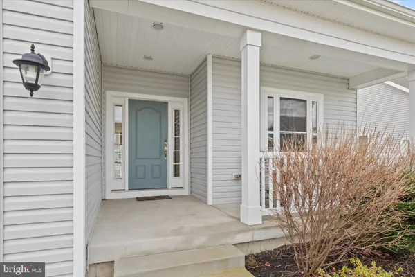 a view of a hallway with wooden floor and a potted plant