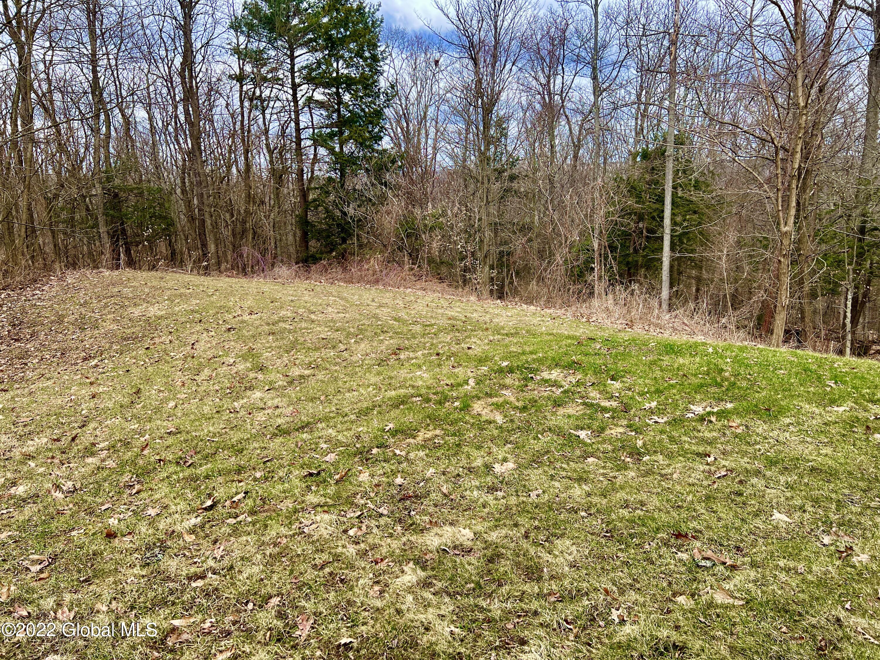 940 Schoonmaker Road Delanson, NY 12053 - Photo 35 of 37 D50454DB-C9DE-40A7-A92D-7AC4F049463F_1_2