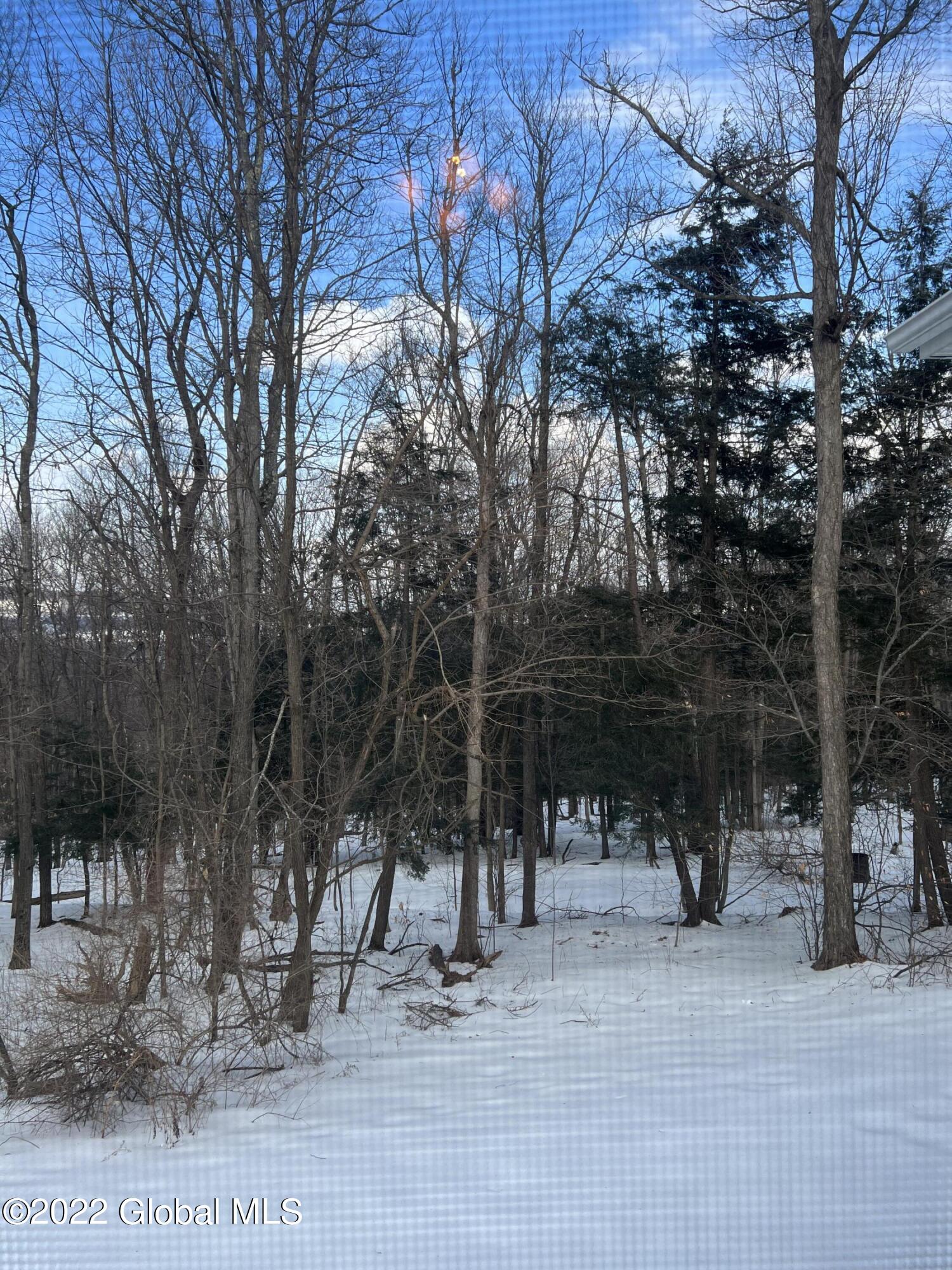 940 Schoonmaker Road Delanson, NY 12053 - Photo 37 of 37 CE8B18FB-A59B-4460-80C9-B0BEE0608E1E