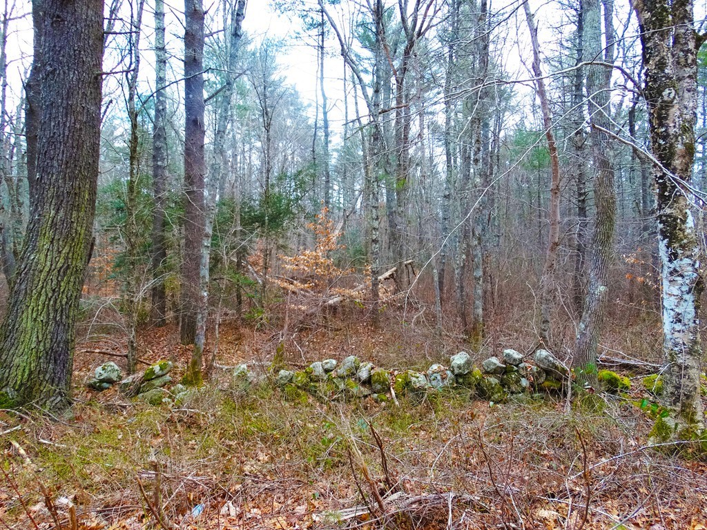 0 Quaker Lane Rochester, MA 02770 - Photo 2 of 5 Gallery Image 2