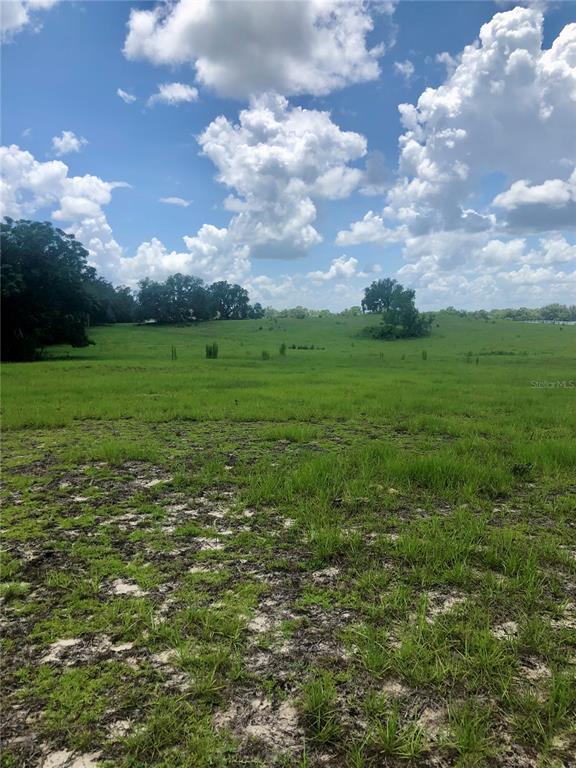 14 Eagle Ridge Bushnell, FL 33513 - Photo 16 of 19 Gallery Image 16