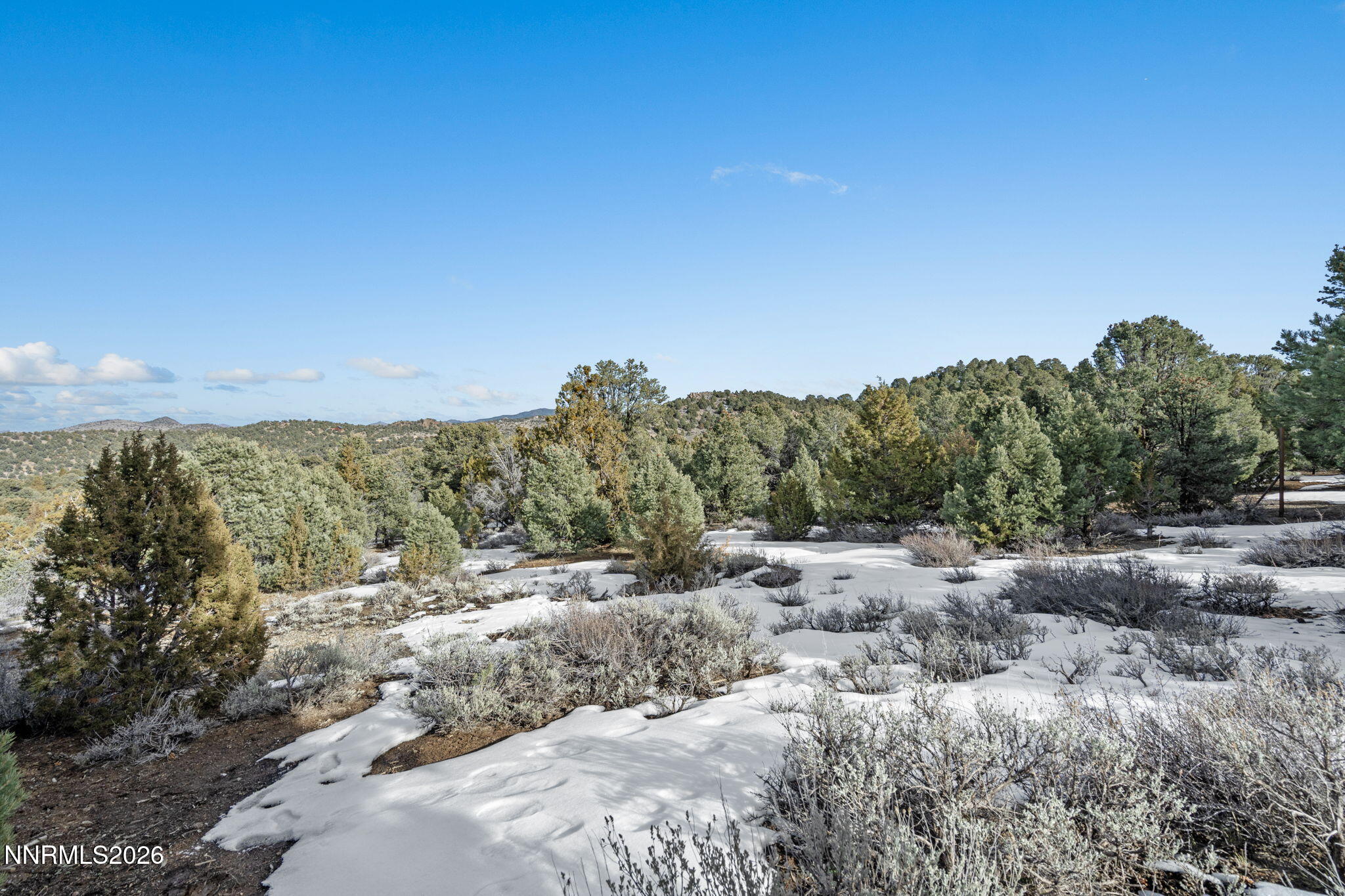 21740 Clemens Road Reno, NV 89521 - Photo 12 of 25 10-web-or-mls-DSC09204