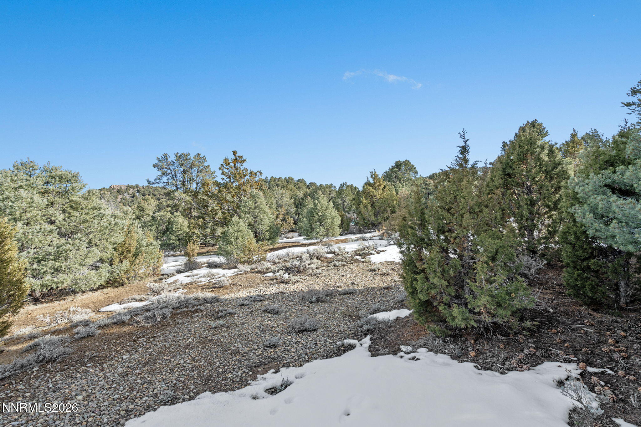 21740 Clemens Road Reno, NV 89521 - Photo 15 of 25 13-web-or-mls-DSC09179