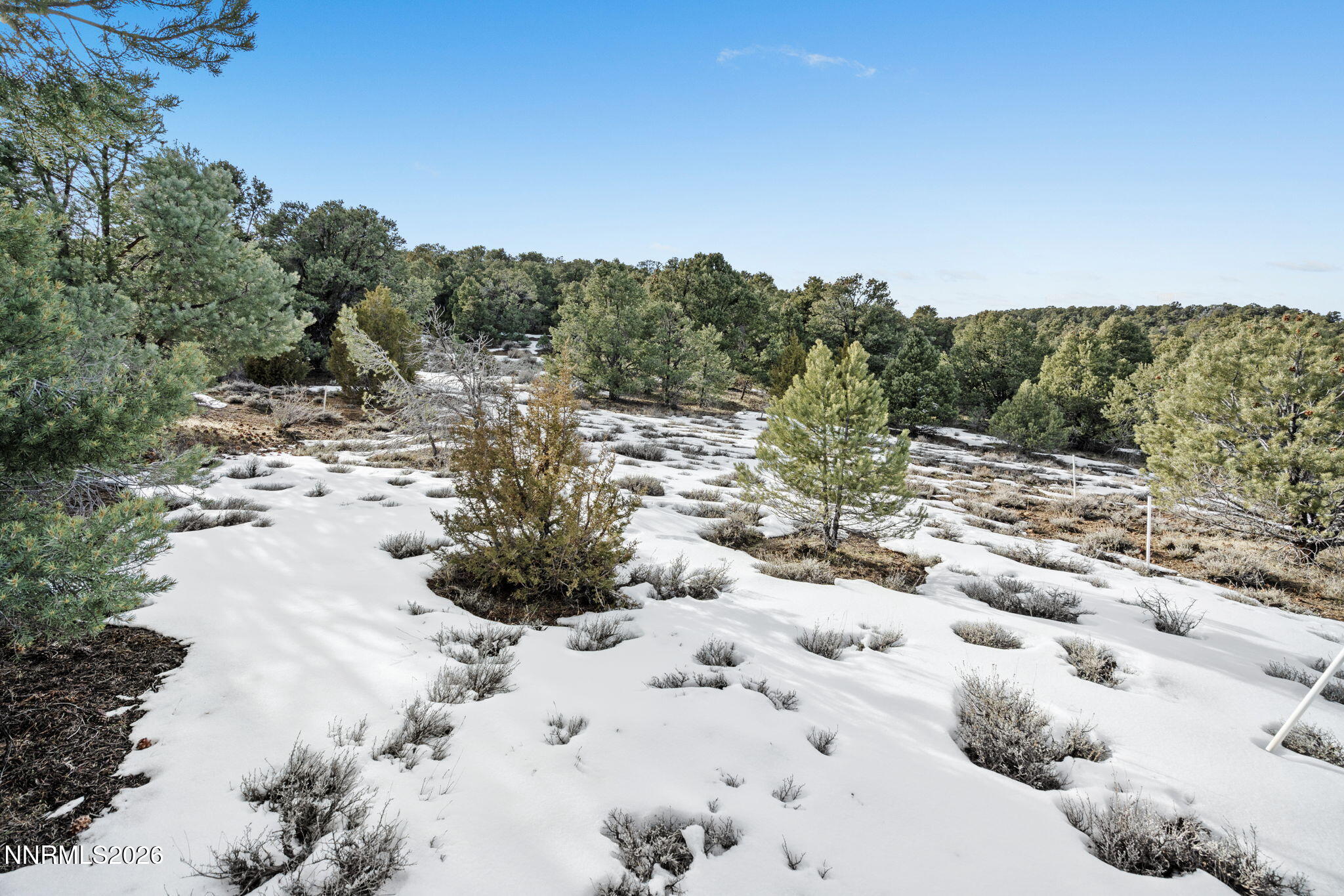 21740 Clemens Road Reno, NV 89521 - Photo 18 of 25 16-web-or-mls-DSC09199