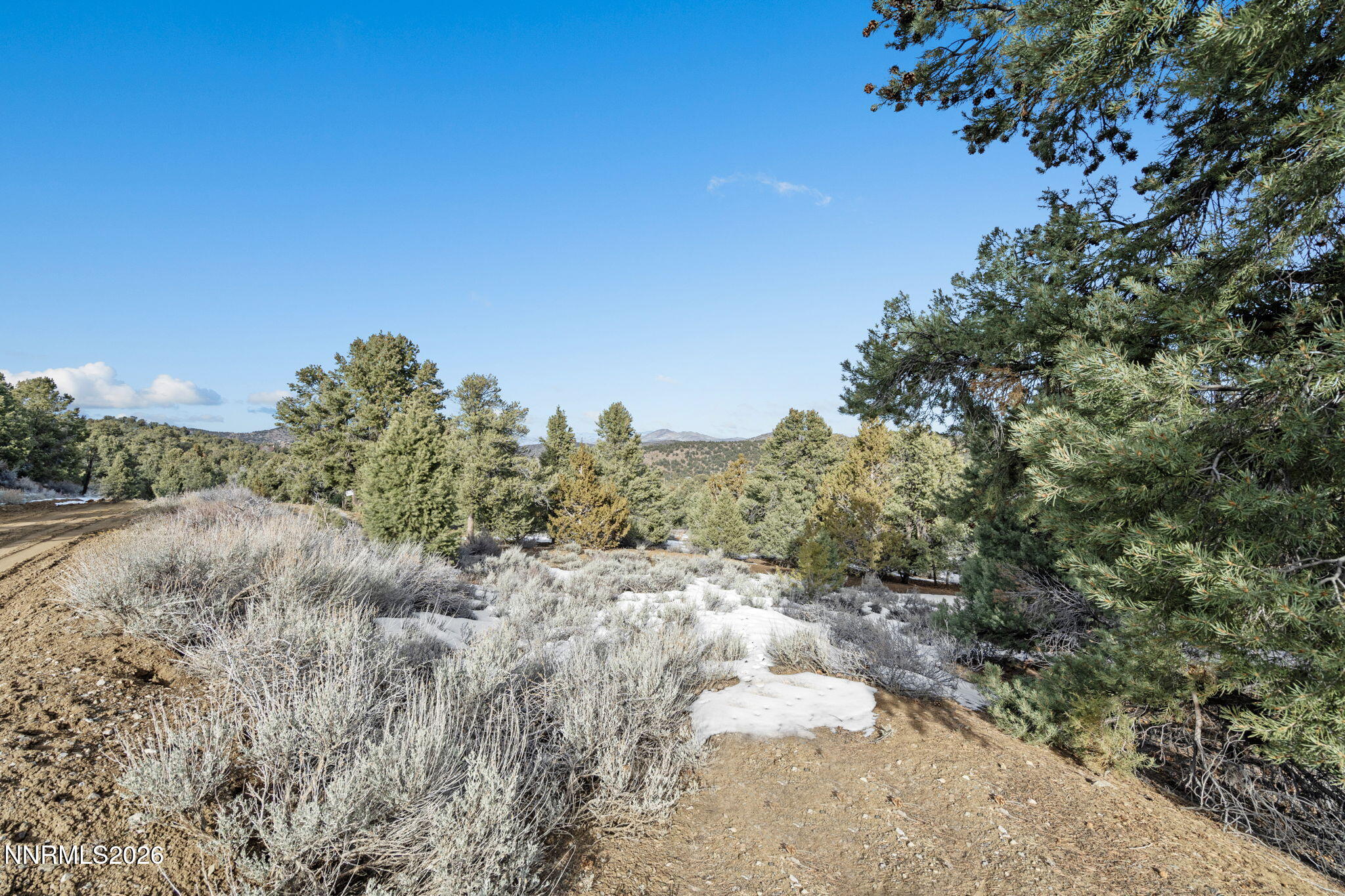 21740 Clemens Road Reno, NV 89521 - Photo 4 of 25 1-web-or-mls-DSC09234