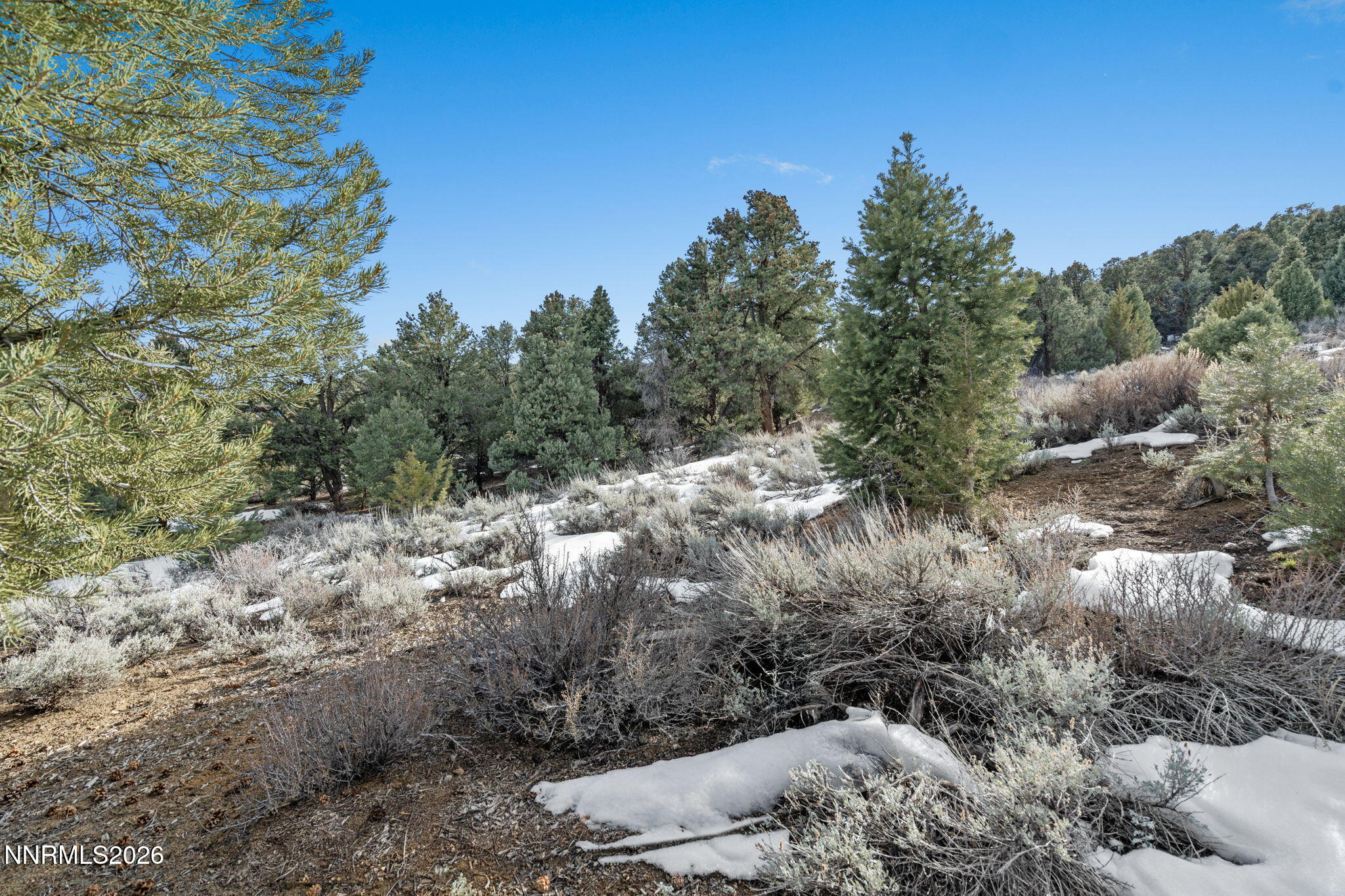 21740 Clemens Road Reno, NV 89521 - Photo 5 of 25 3-web-or-mls-DSC09214