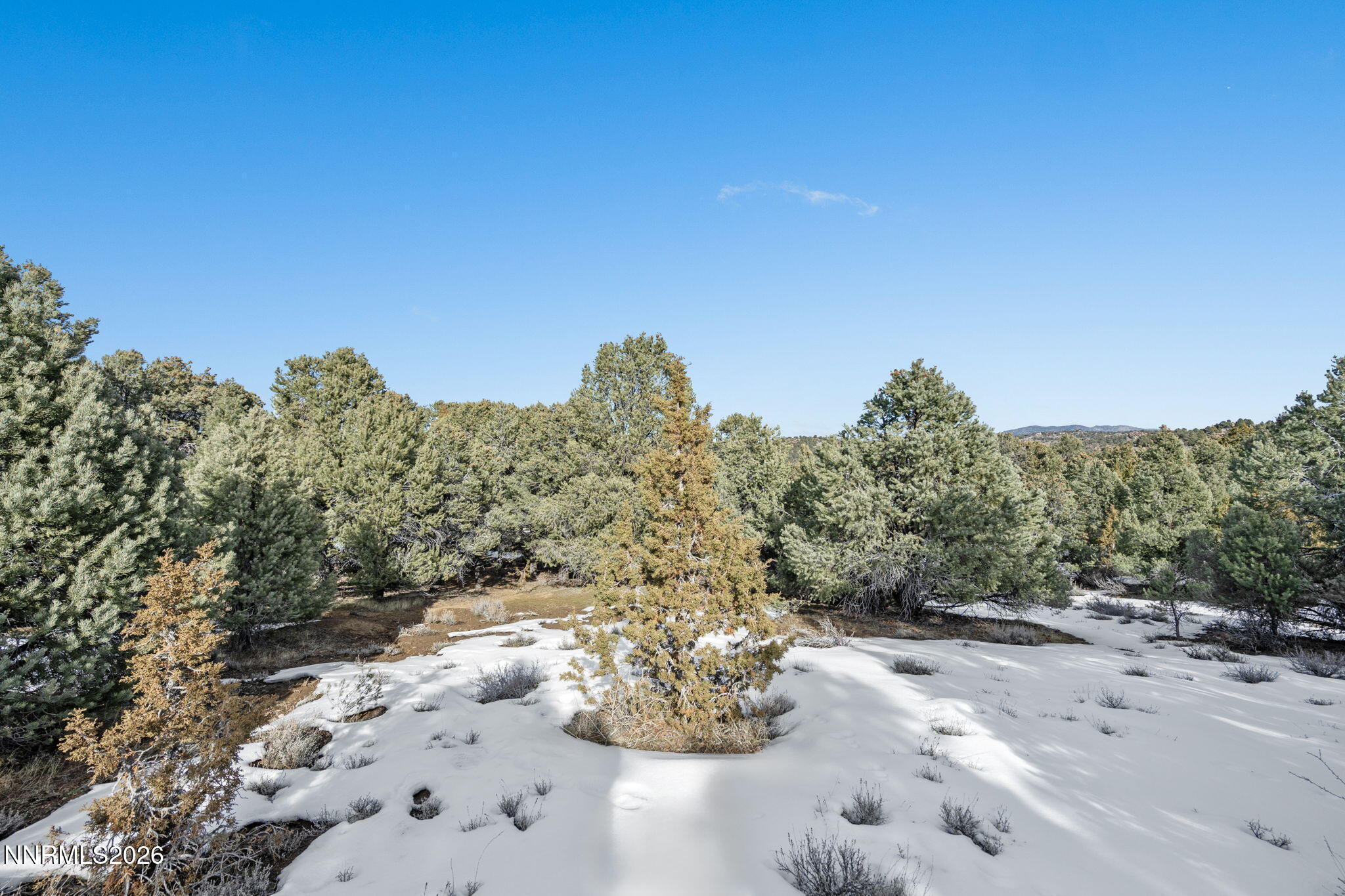 21740 Clemens Road Reno, NV 89521 - Photo 6 of 25 4-web-or-mls-DSC09184