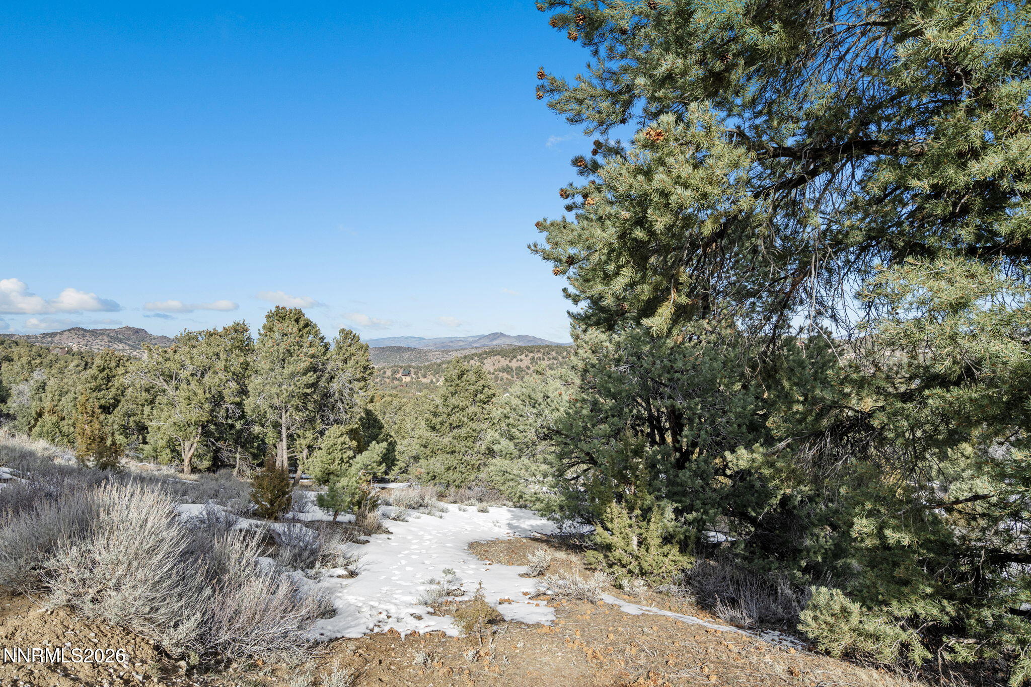 21740 Clemens Road Reno, NV 89521 - Photo 7 of 25 5-web-or-mls-DSC09169