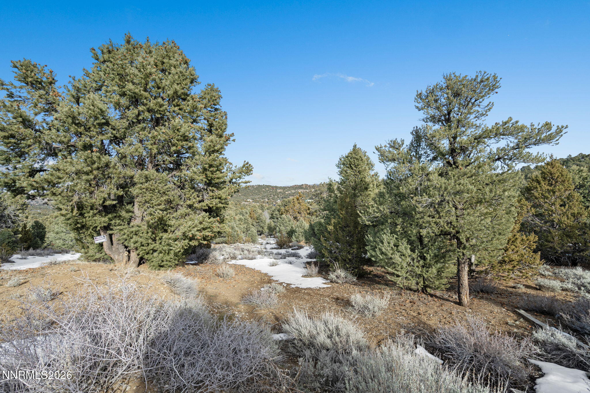 21740 Clemens Road Reno, NV 89521 - Photo 10 of 25 8-web-or-mls-DSC09239