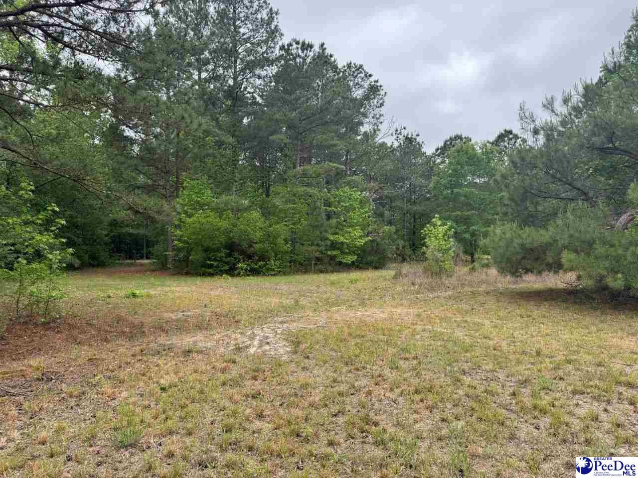 Daniel Chapel Road McColl, SC 29570 - Photo 21 of 42 Gallery Image 21