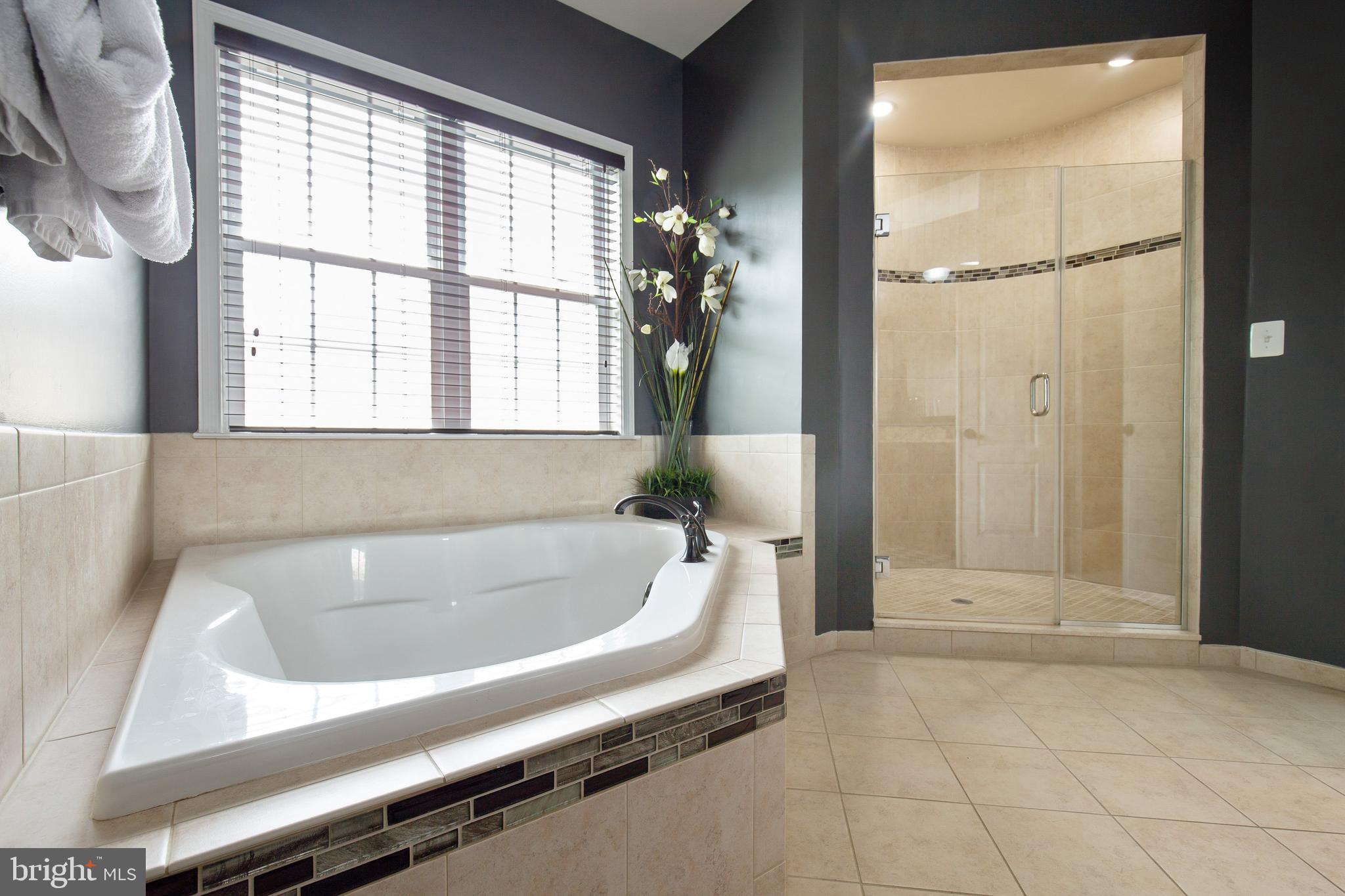 4201 Rolling Paddock Drive Upper Marlboro, MD 20772 - Photo 37 of 62 a bath tub sitting in a bathroom next to a window