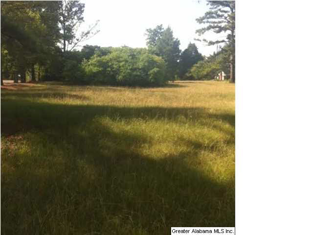 5246 South Shades Crest Road Bessemer, AL 35022 - Photo 2 of 3