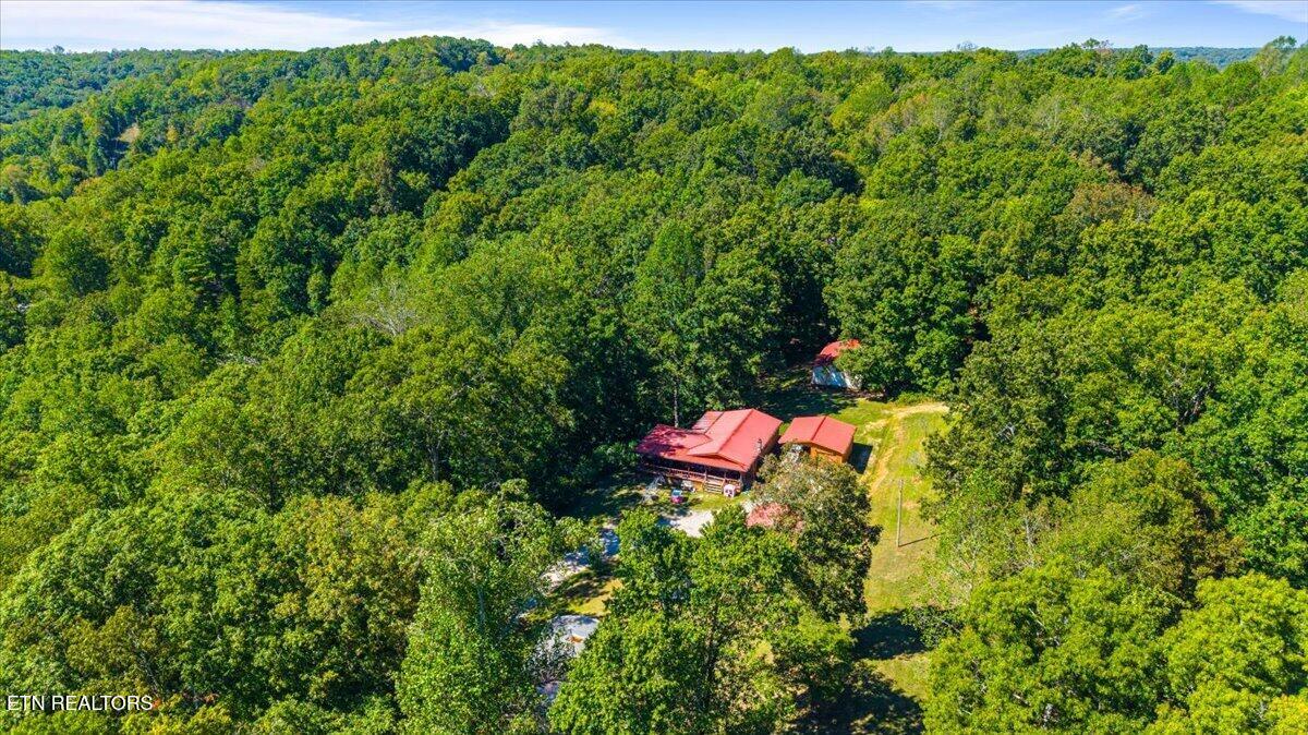 101 Mountain View Road Robbins, TN 37852 - Photo 10 of 49 10-101 Mountain View Rd