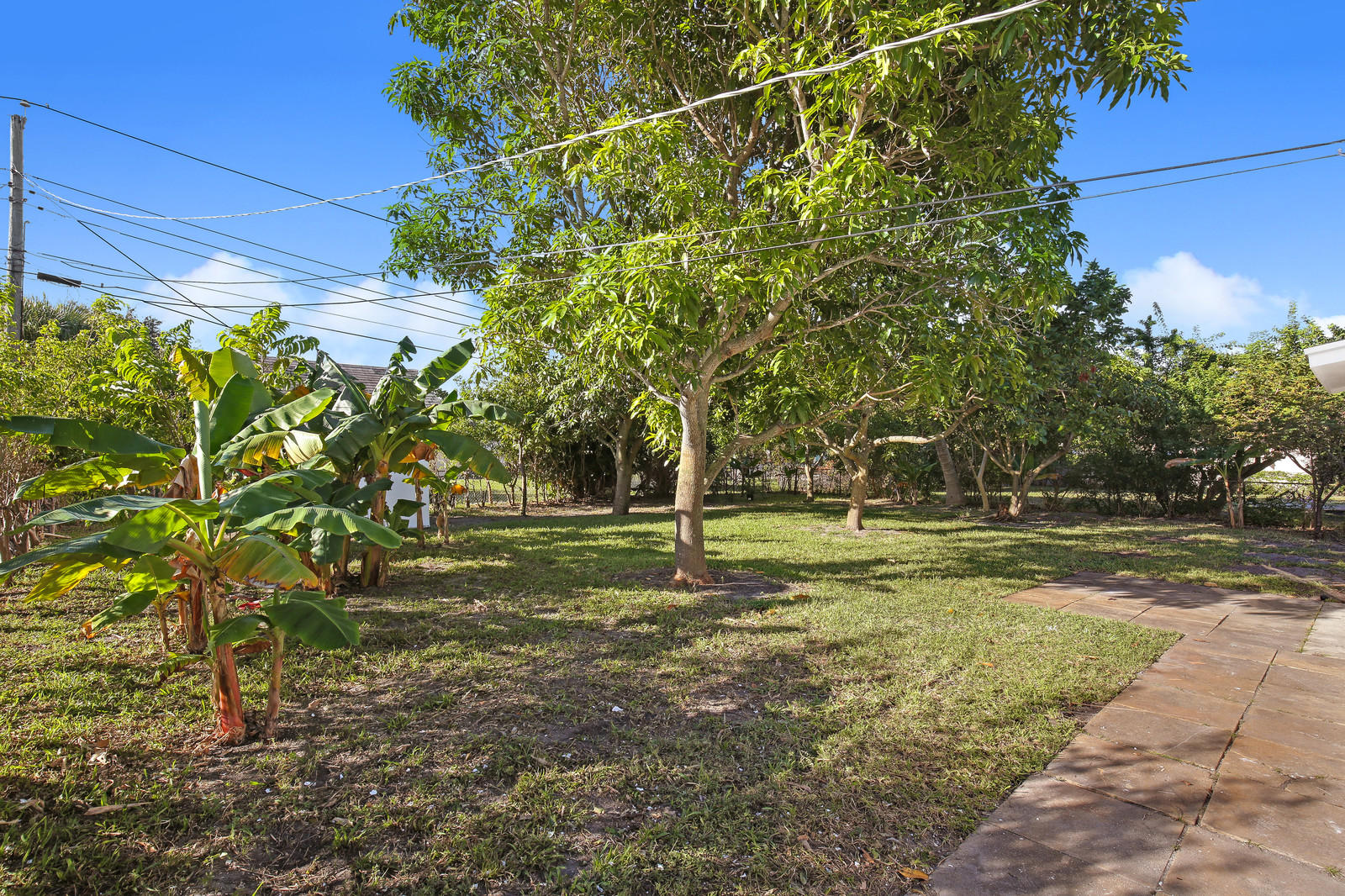 401 West 37th Street Riviera Beach, FL 33404 - Photo 15 of 17 Backyard-1