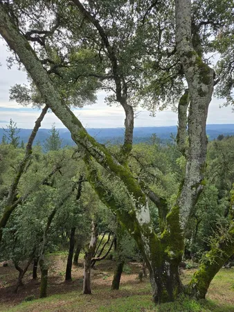 $2,285,000 | 24854 Skyland Road, Los Gatos, CA 95033