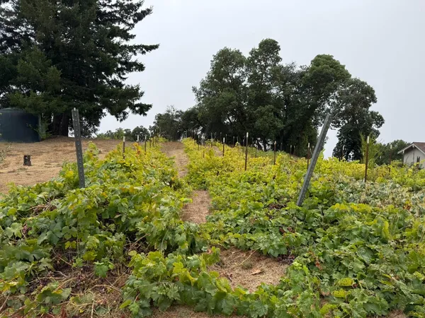 $2,285,000 | 24854 Skyland Road, Los Gatos, CA 95033