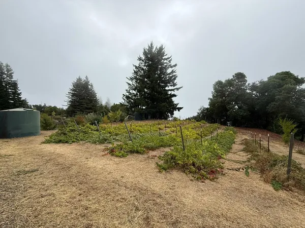 $2,285,000 | 24854 Skyland Road, Los Gatos, CA 95033