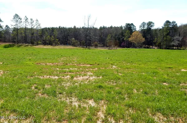 $47,950 | 4 Graysport Crossing Road, Gore Springs, MS 38929