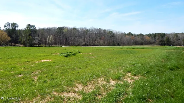 $47,950 | 4 Graysport Crossing Road, Gore Springs, MS 38929