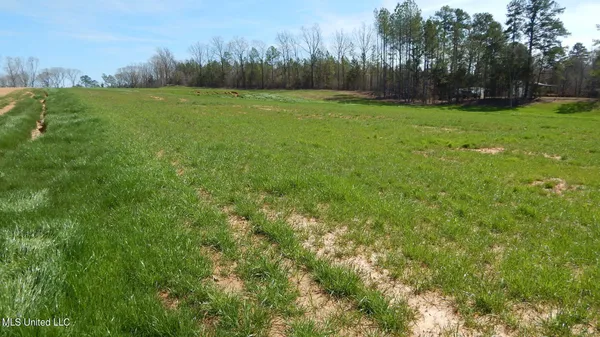 $47,950 | 4 Graysport Crossing Road, Gore Springs, MS 38929