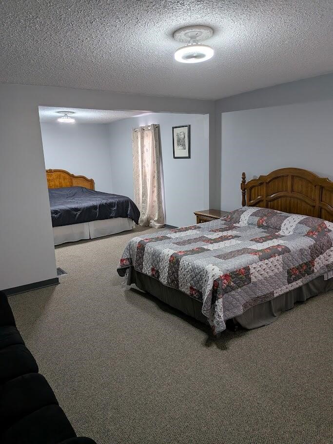7202 21 Mile Road Evart, MI 49631 - Photo 26 of 69