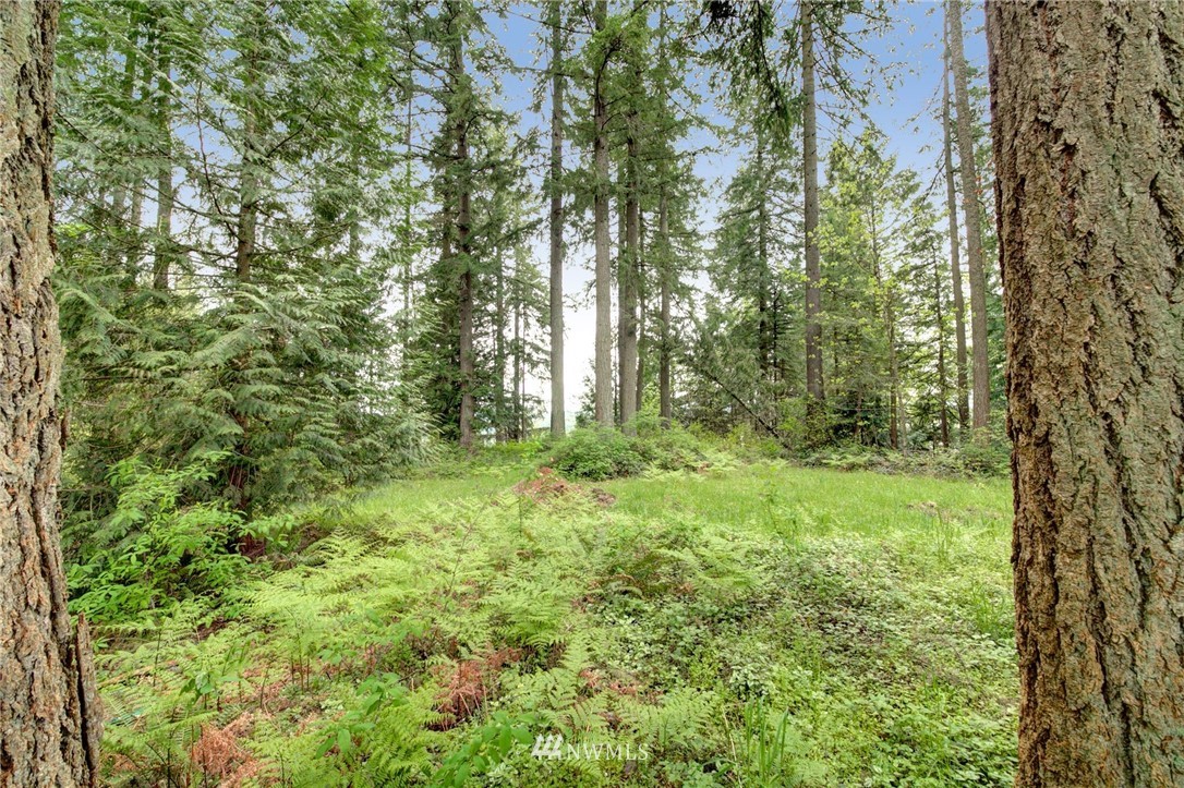 20624 Southeast 192nd Street Renton, WA 98058 - Photo 39 of 40 Gallery Image 39