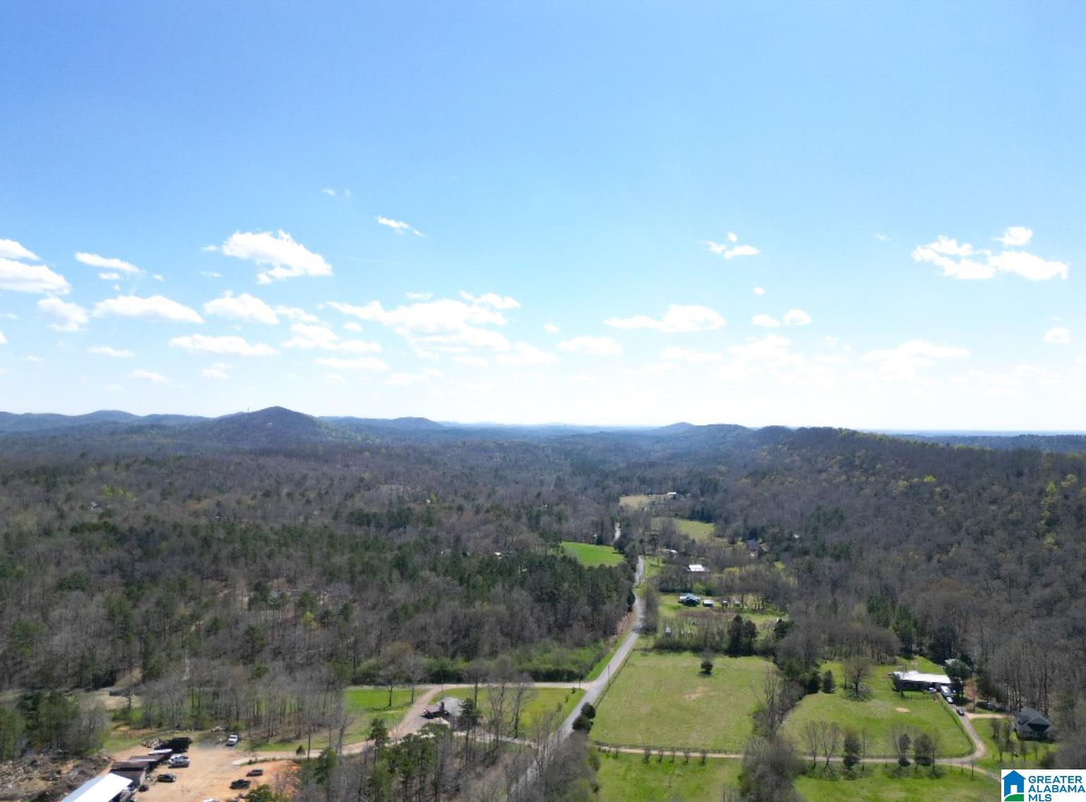 1931 Red Valley Road Remlap, AL 35133 - Photo 14 of 17