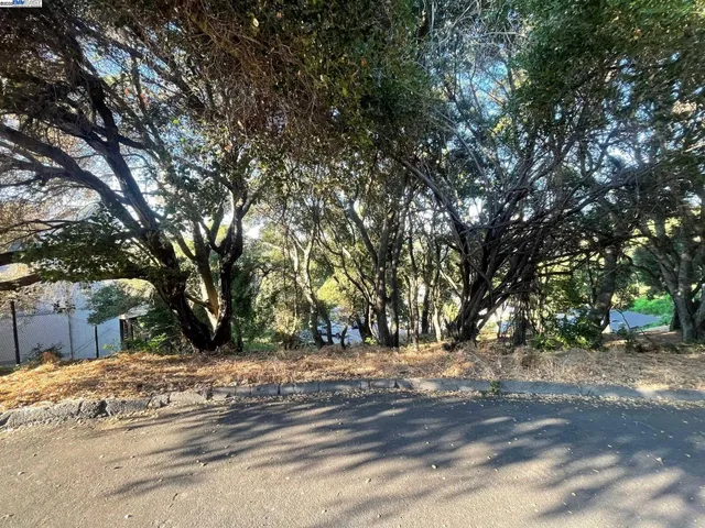 a view of a yard with a tree