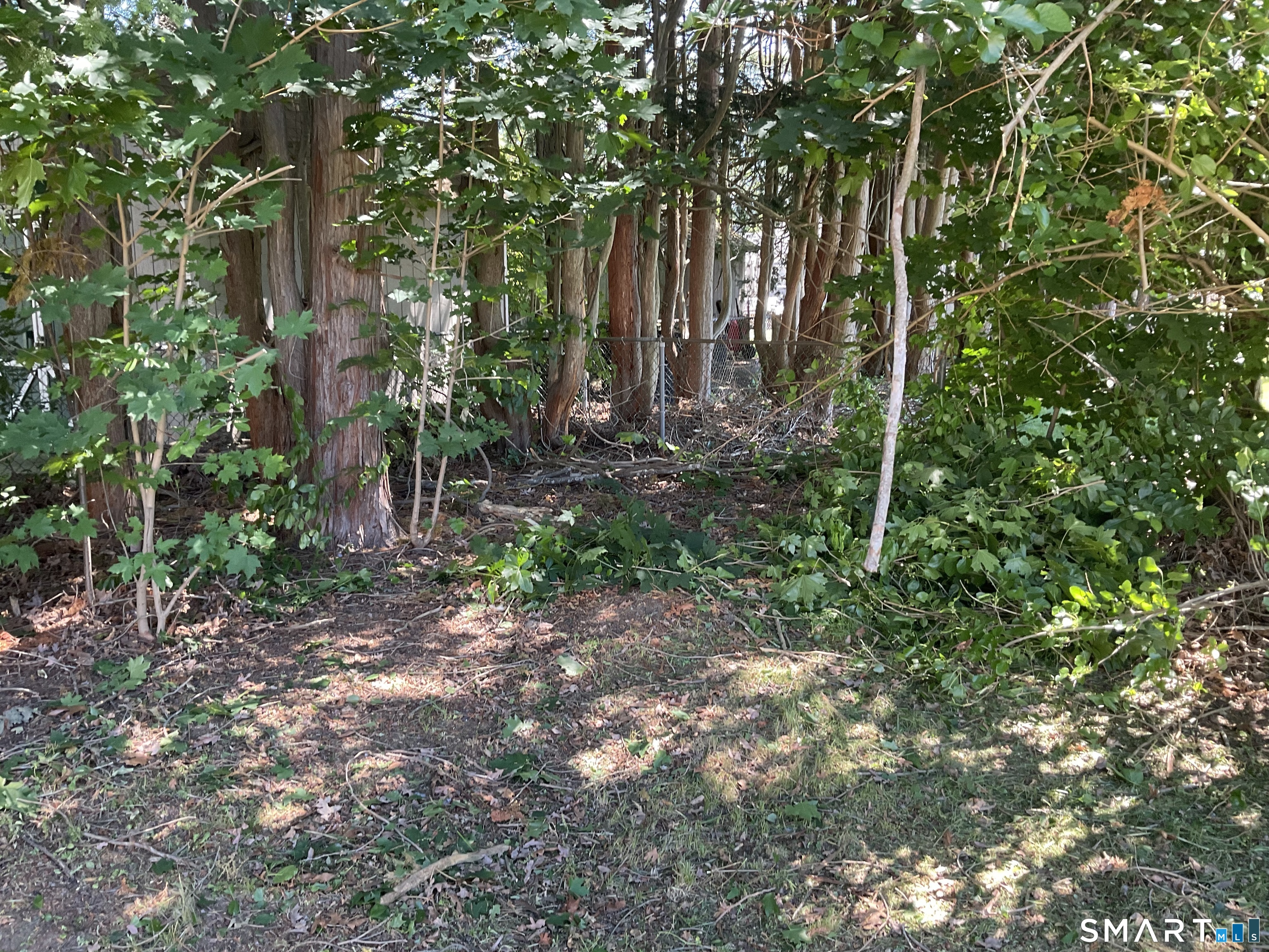 649 Merwin Avenue Milford, CT 06460 - Photo 19 of 20