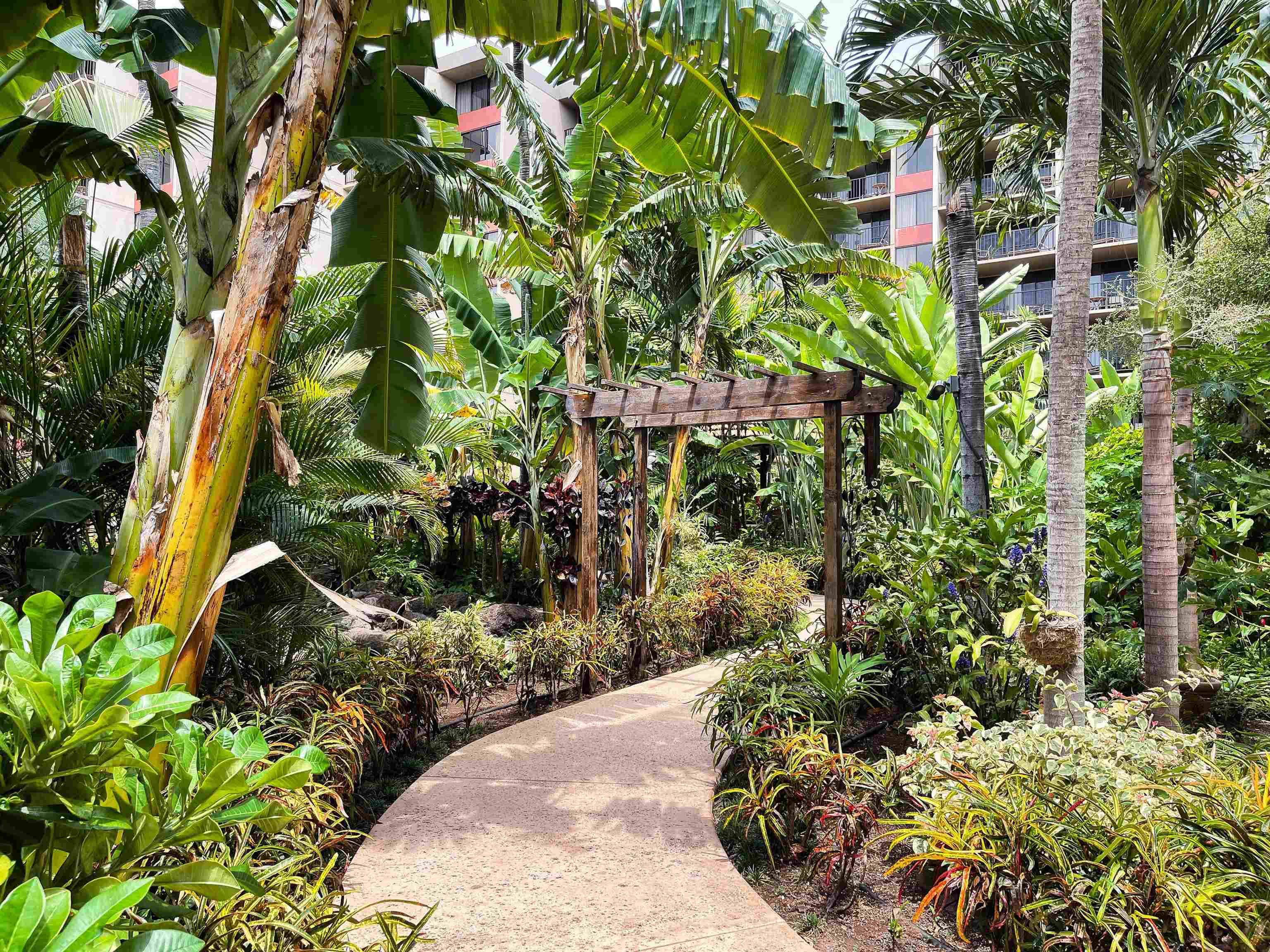 3445 Lower Honoapiilani Road, Unit 817 Lahaina, HI 96761 - Photo 36 of 44 Gallery Image 36