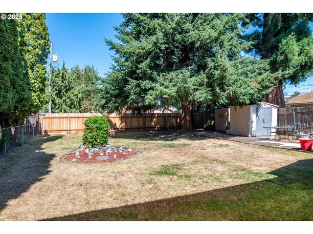 a view of a backyard