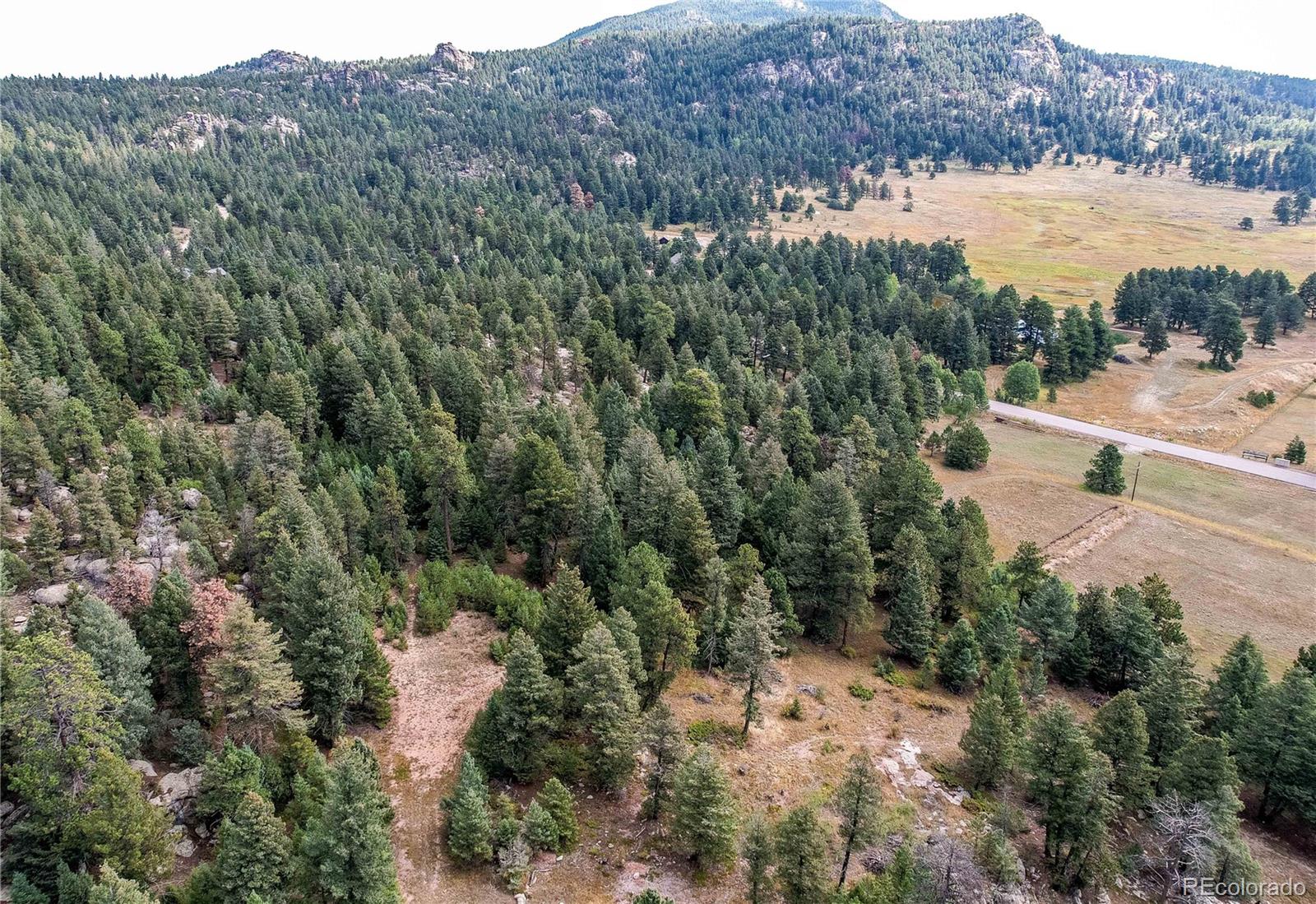 9335 Eagle Cliff Road Conifer, CO 80433 - Photo 12 of 31