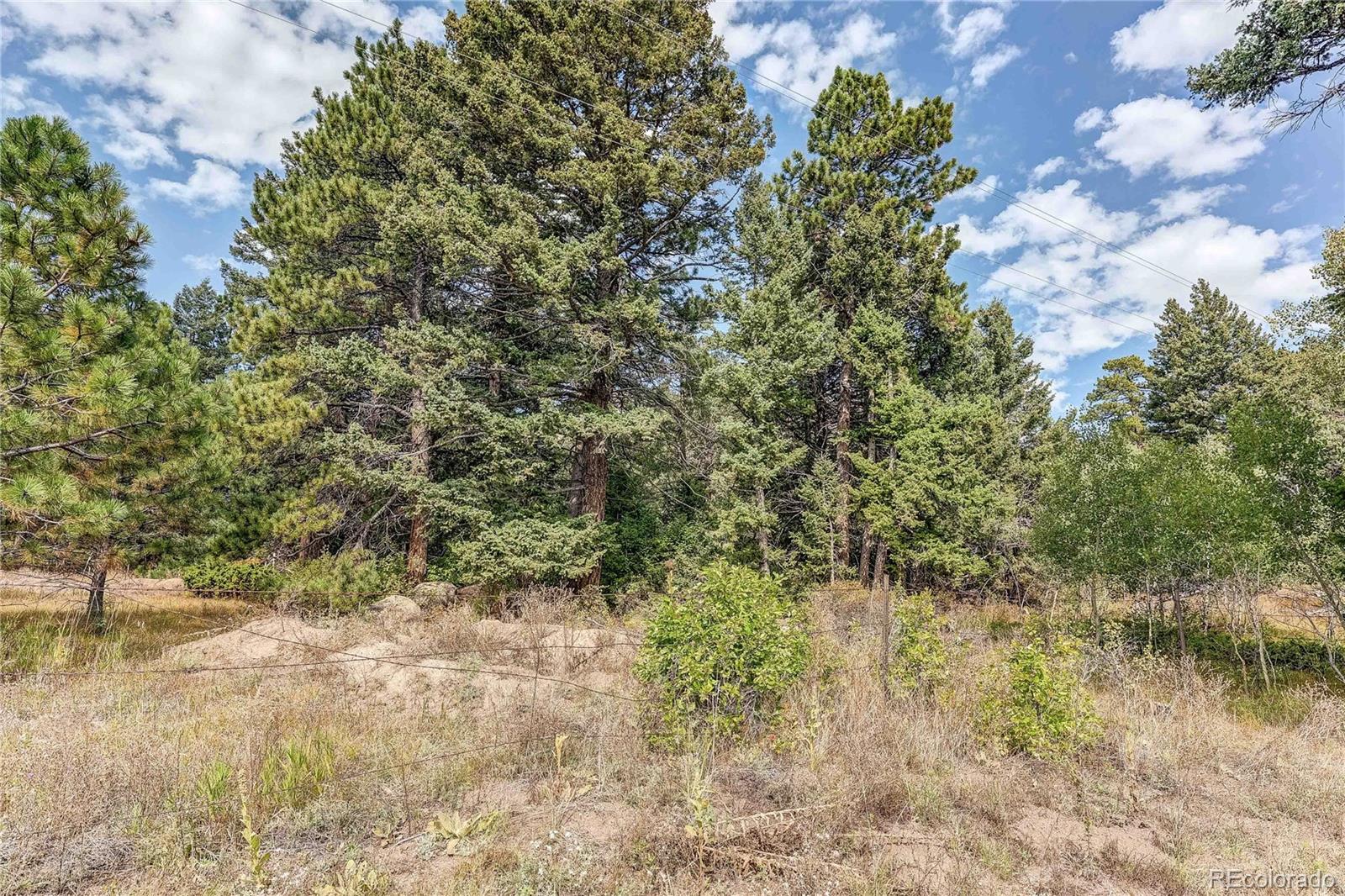 9335 Eagle Cliff Road Conifer, CO 80433 - Photo 20 of 31
