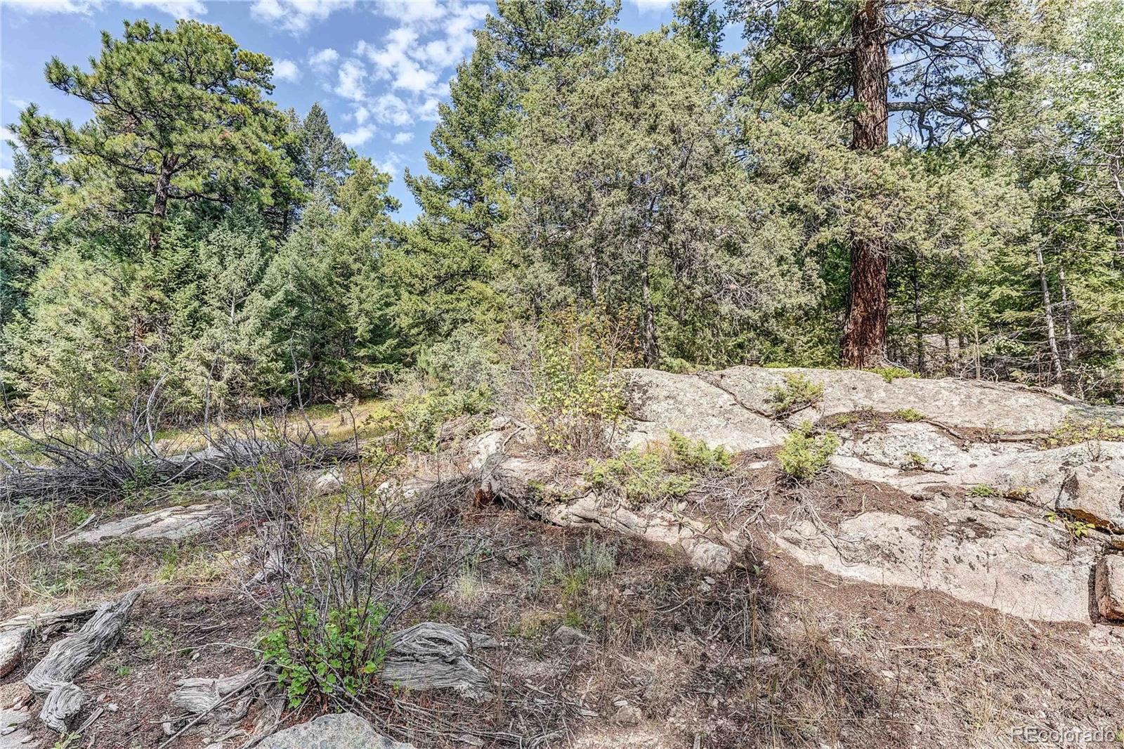 9335 Eagle Cliff Road Conifer, CO 80433 - Photo 22 of 31